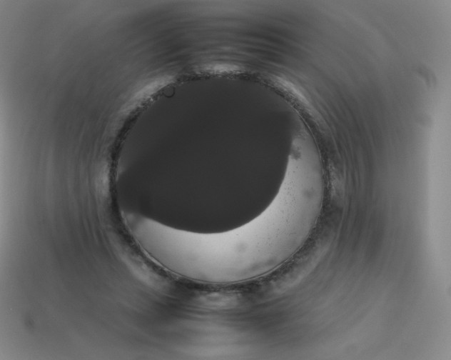 X0000113850447200910081649