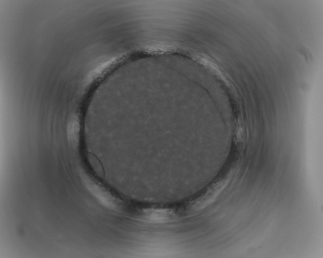 X0000113850448200910081649