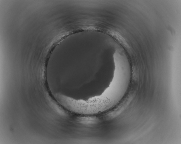 X0000113850449200910081649