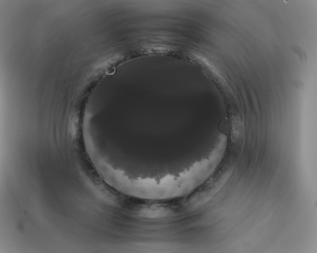 X0000113850451200910081649