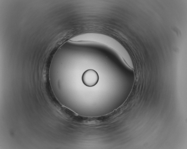 X0000113850452200910081649