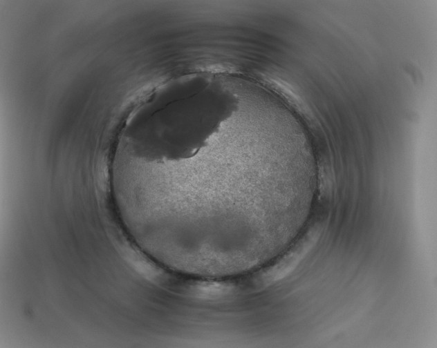 X0000113850453200910081649