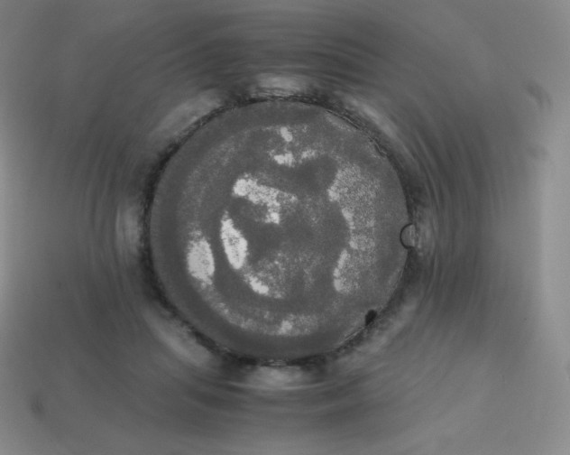 X0000113850455200910081649