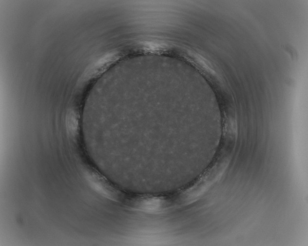 X0000113850456200910081649