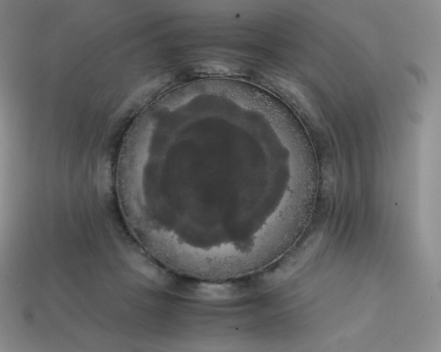 X0000113850457200910081649