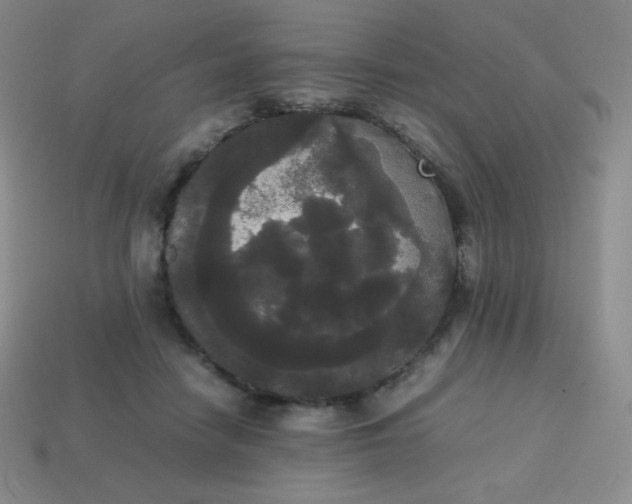 X0000113850458200910081649