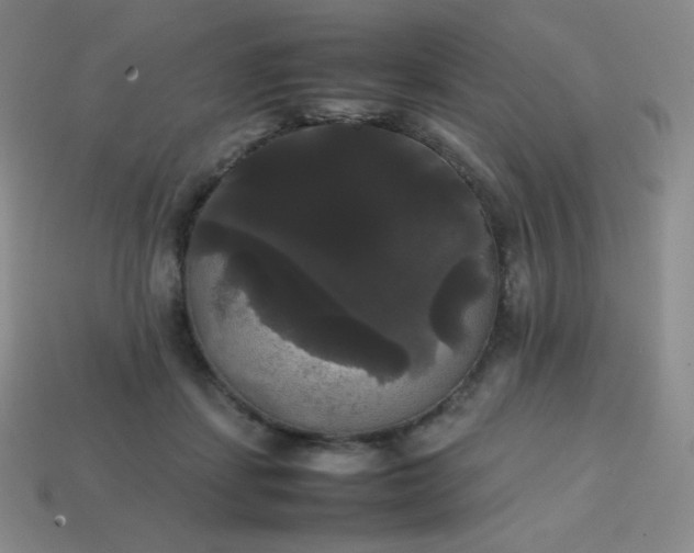 X0000113850459200910081649