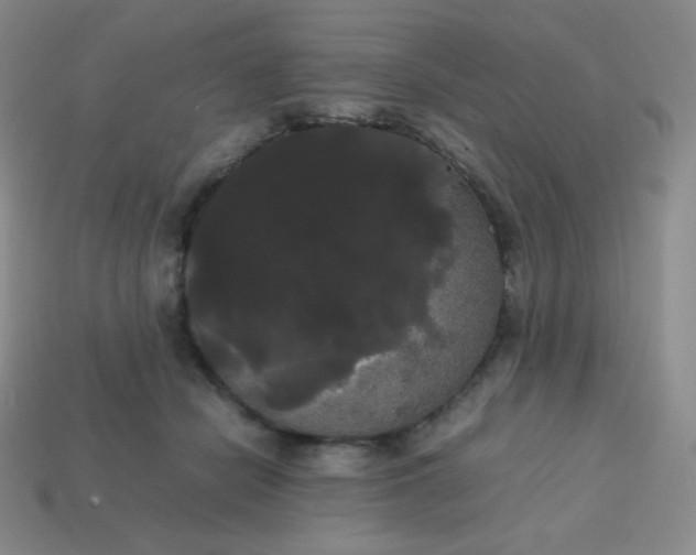 X0000113850462200910081649