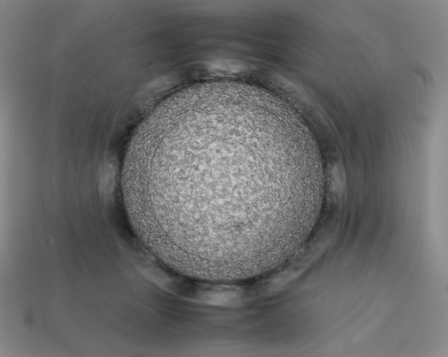 X0000113850463200910081649