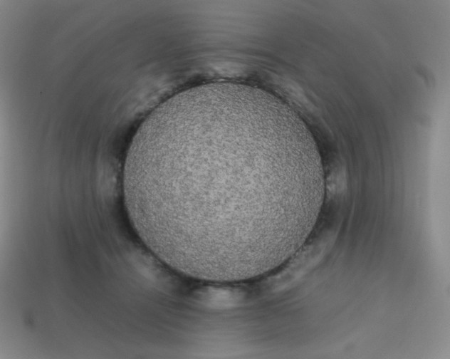 X0000113850464200910081649