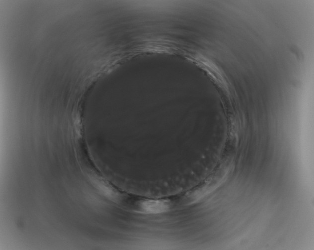 X0000113850465200910081649