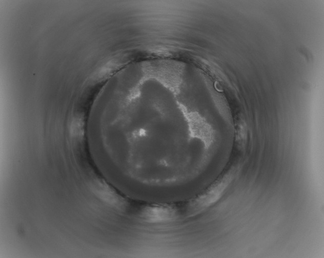 X0000113850466200910081649