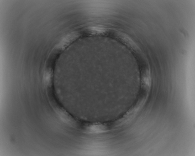 X0000113850468200910081649