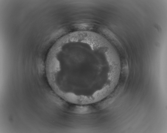 X0000113850469200910081649