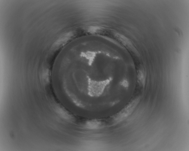 X0000113850470200910081649