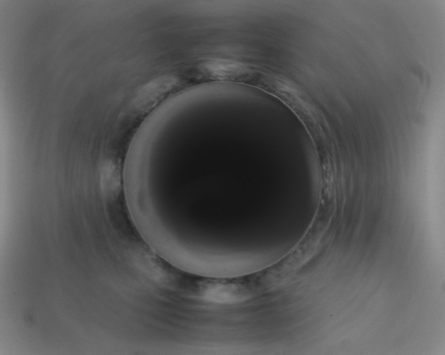 X0000113850471200910081649