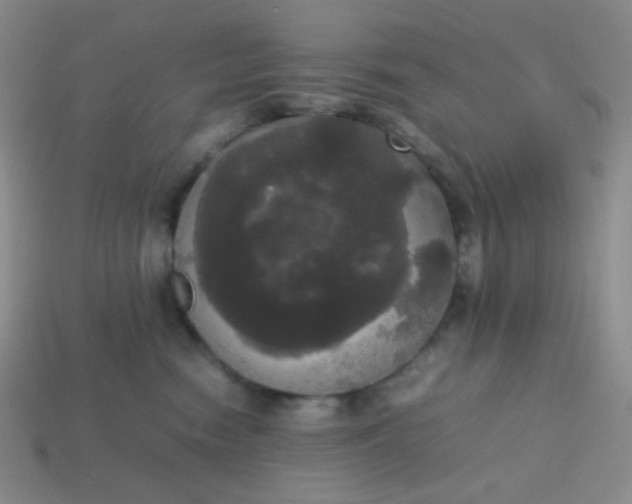 X0000113850474200910081649