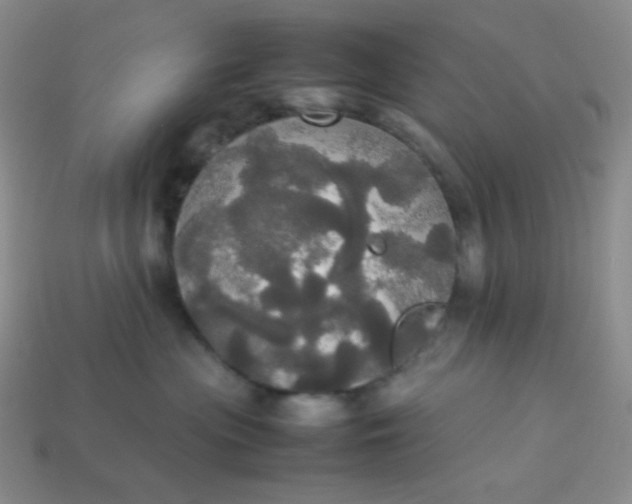 X0000113850477200910081649