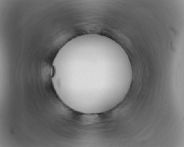 X0000113850480200910081649