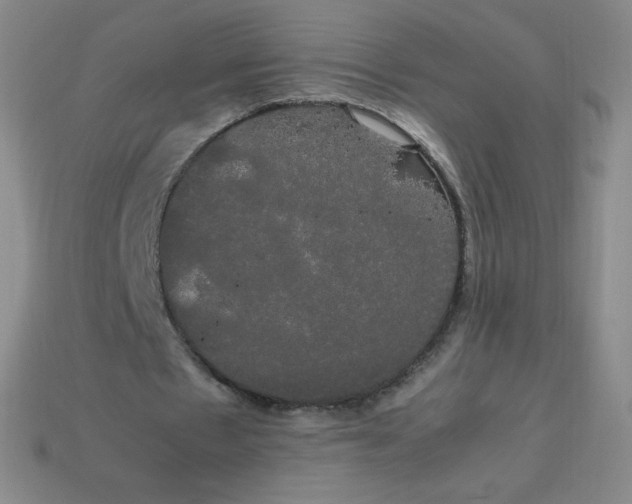 X0000113850481200910081649