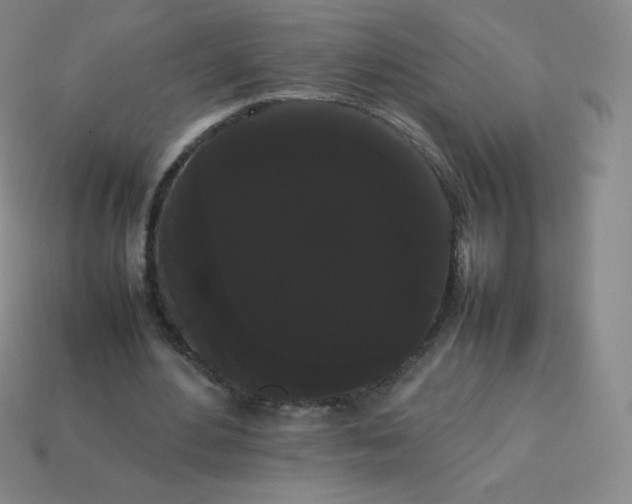 X0000113850484200910081649