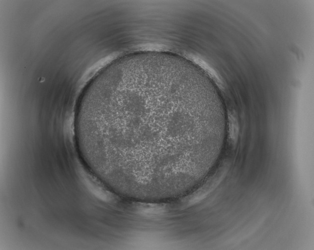 X0000113850486200910081649