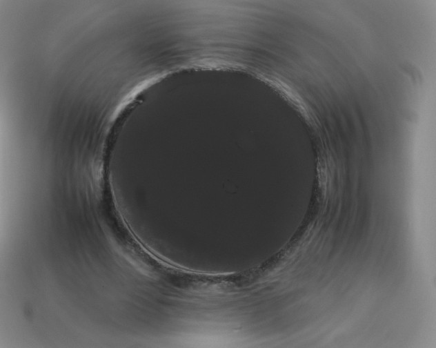 X0000113850488200910081648