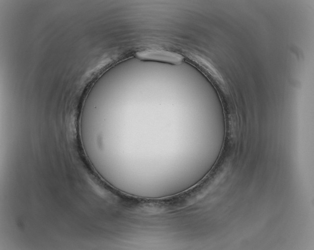 X0000113850489200910081648