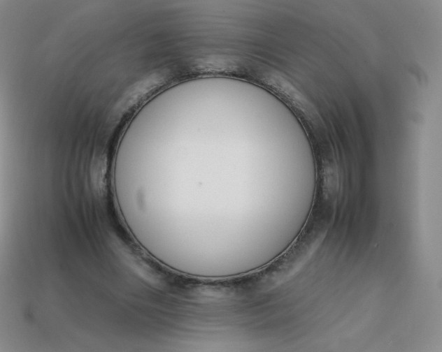 X0000113850490200910081648