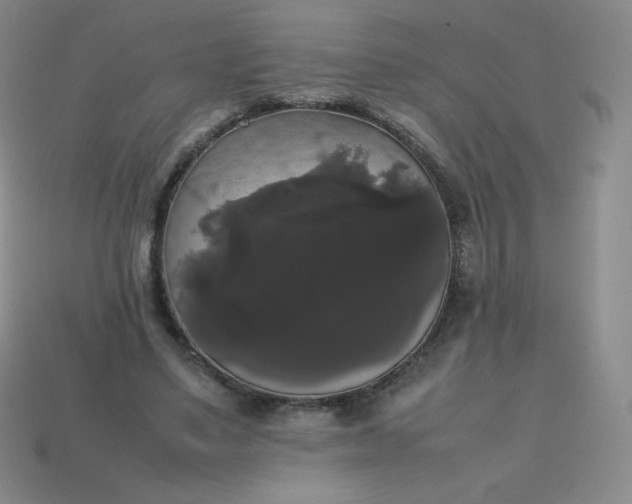 X0000113850491200910081648