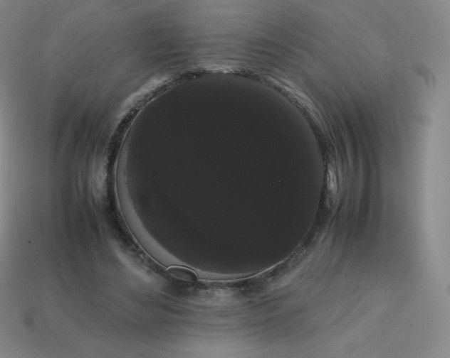 X0000113850492200910081648