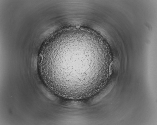 X0000113850493200910081648