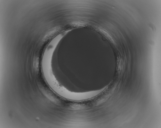 X0000113850494200910081648