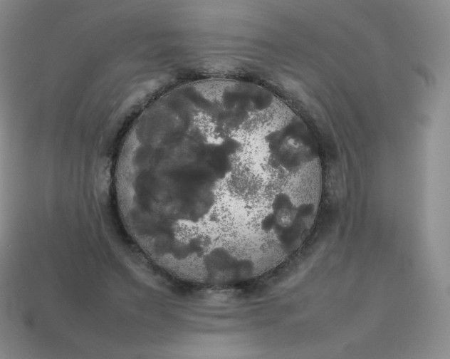 X0000113850495200910081648