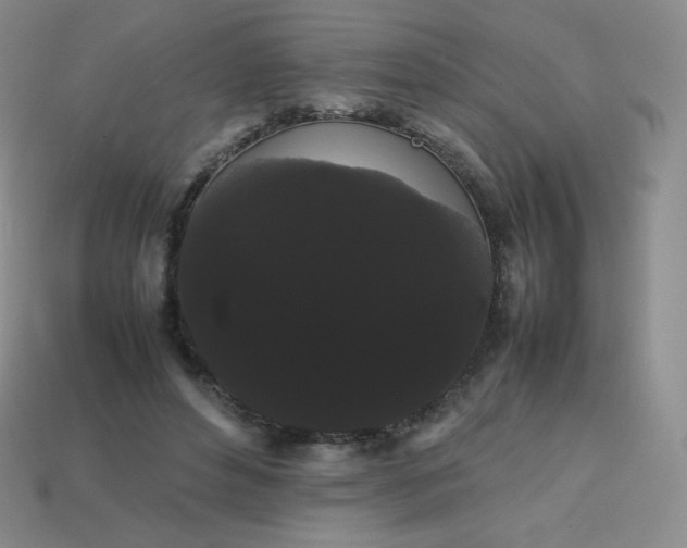 X0000113850496200910081648