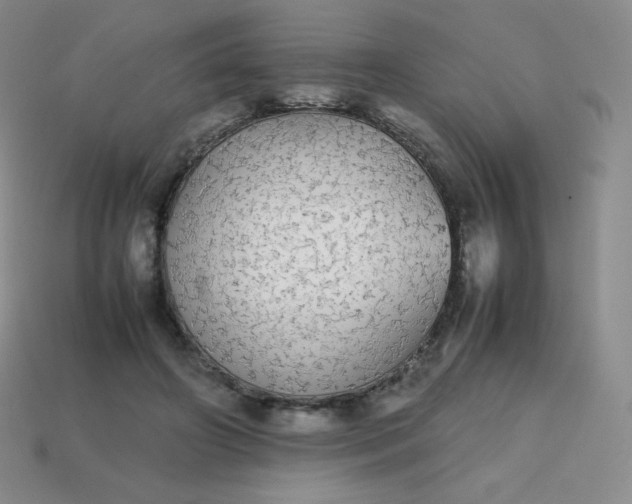 X0000113850498200910081648