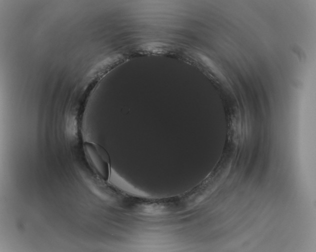 X0000113850500200910081648