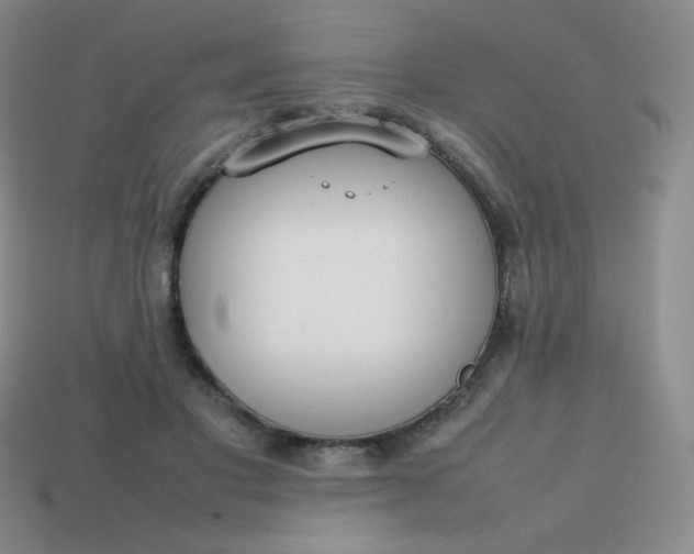 X0000113850501200910081648