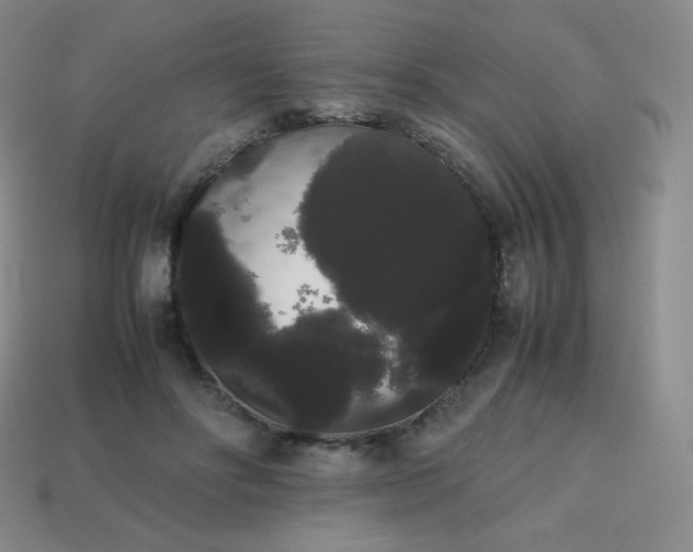 X0000113850502200910081648