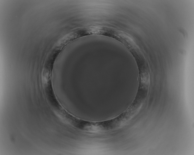 X0000113850503200910081648