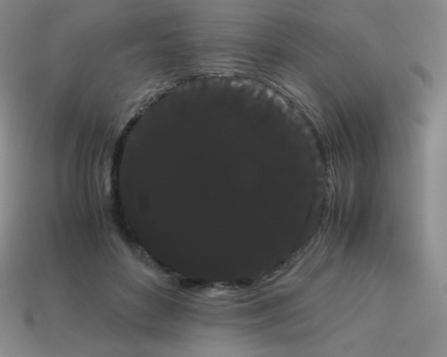 X0000113850504200910081648