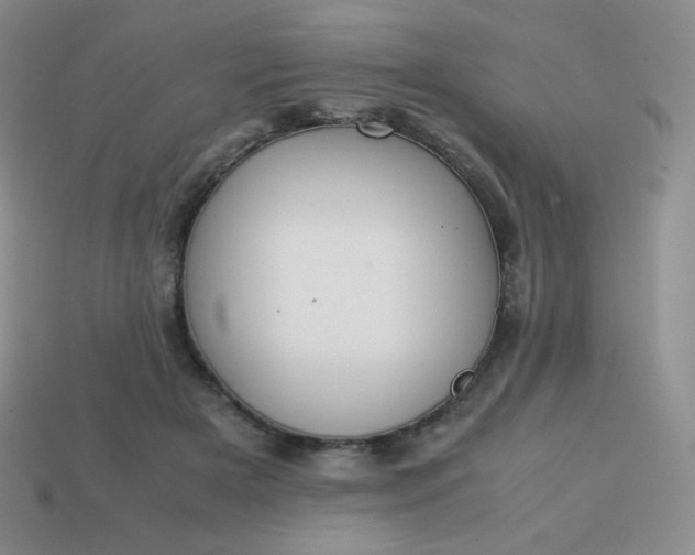 X0000113850505200910081648