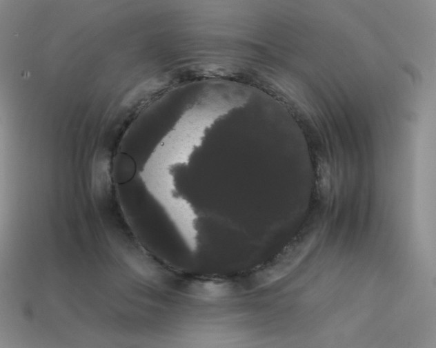 X0000113850506200910081648