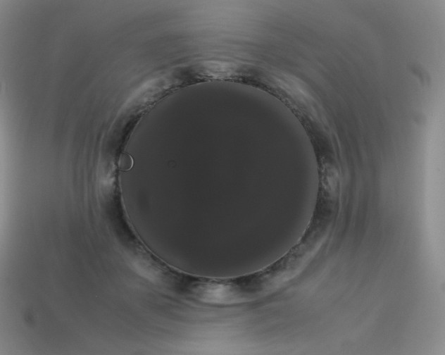 X0000113850507200910081648