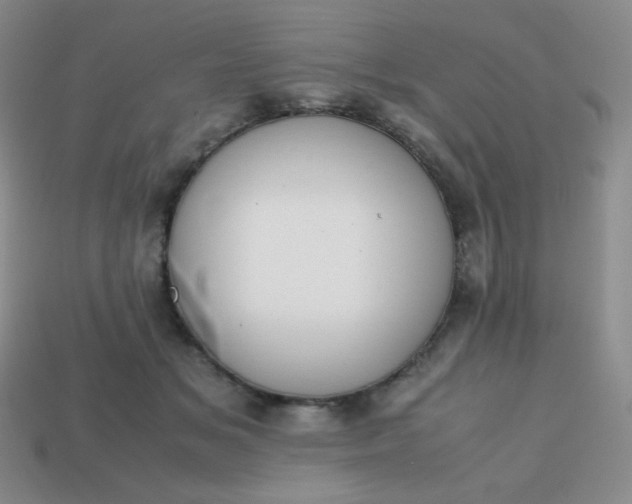 X0000113850509200910081648