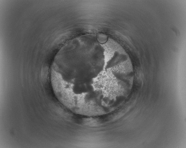 X0000113850511200910081648