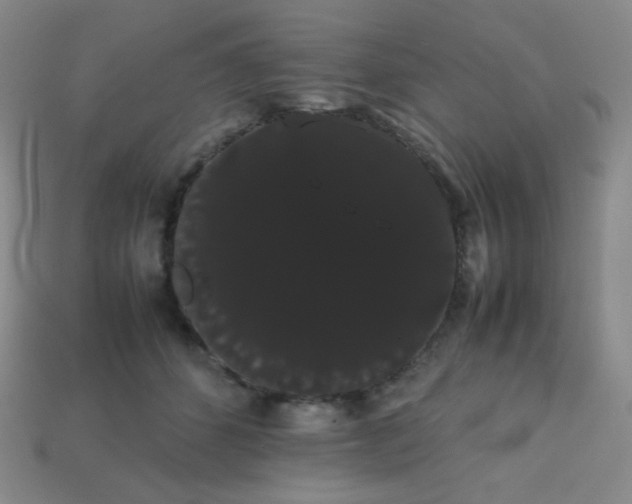 X0000113850512200910081648