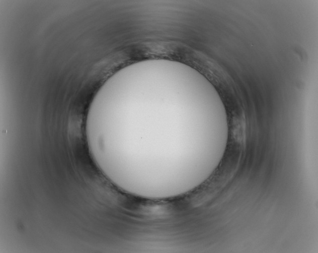 X0000113850514200910081648