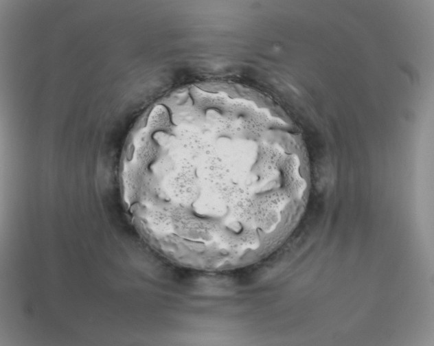 X0000113850515200910081648