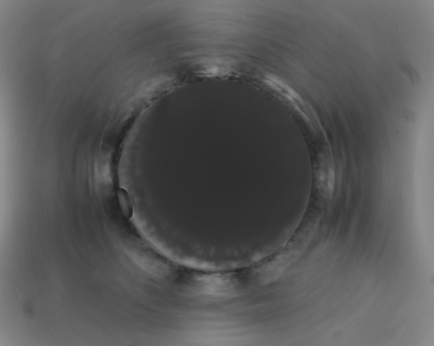 X0000113850516200910081648